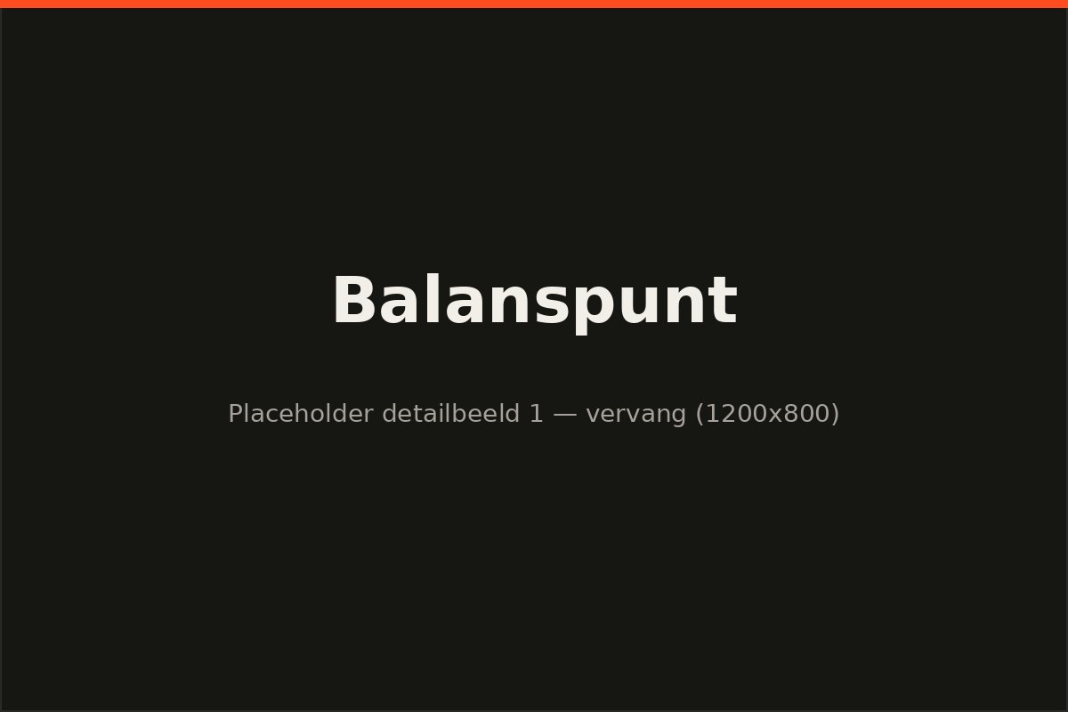 Detailbeeld 1 van het project voor Balanspunt