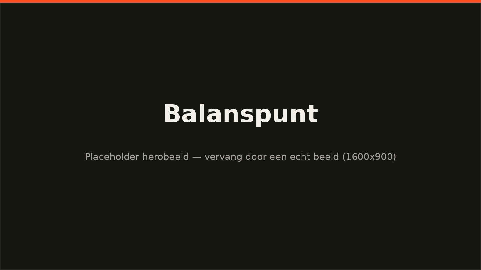 Sfeerbeeld van het project voor Balanspunt